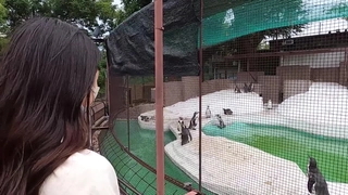 手机号码吉凶测算偷情同小区良家熟女人妻（简，介福利）