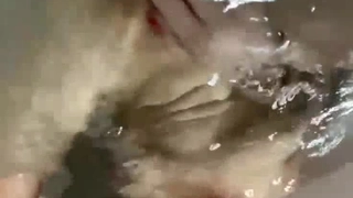 AKDL-195 顔面接吻 ～ベロで顔を犯●れる～ スマホに保存されたエロ動画を上司に見られヨダレまみれの接吻ハラスメントでキスに目覚める彼女 広仲みなみ