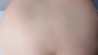 双飞小姐姐