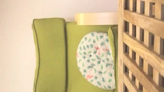 大学生在宿舍房间里的女同性恋性爱视频